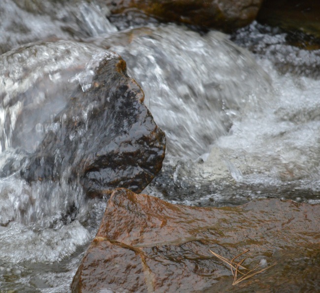 photo essay 4 copie